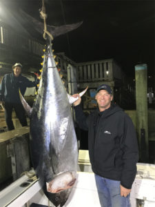 Seven foot tall bluefin tuna hung by tail