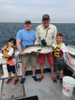 Two boys, dad and grandpa with large striped bass, very proud