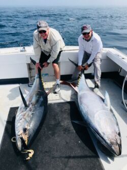 Two smiling men, each holding tail of large bluefin tuna on deck of boat
