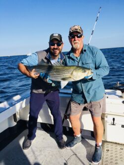 Smiling bearded man and captain holding very large striped bass (striper)