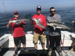 Three guys on charter boat each with striped bass