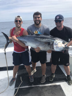 Three guys holding a mid-size bluefin tuna