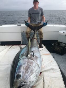 500 Pound Tuna October 2020