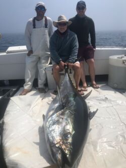 Tuna August 2020