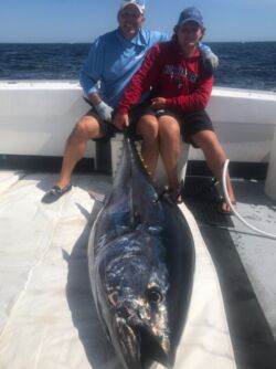 Tuna August 2020