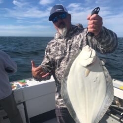 Summer Flounder September 2020