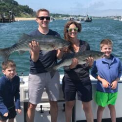 Striped Bass September 2020