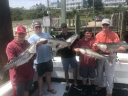 Five men each holding striped bass they caught on board Magic Charters