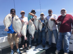Six men holdng up eight large fluke caught during fishing trip
