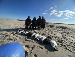 Four men with results of duck hunting