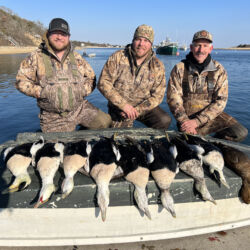 Eider ducks and three hunters